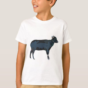 Camiseta A es para Anoa