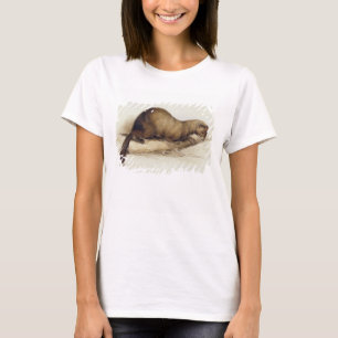 Camiseta A Weasel, 1832 (p/c, pluma, tinta, gouache y movim