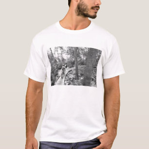 Camiseta Aaron Rodgers mountain bike por la escalera hacia