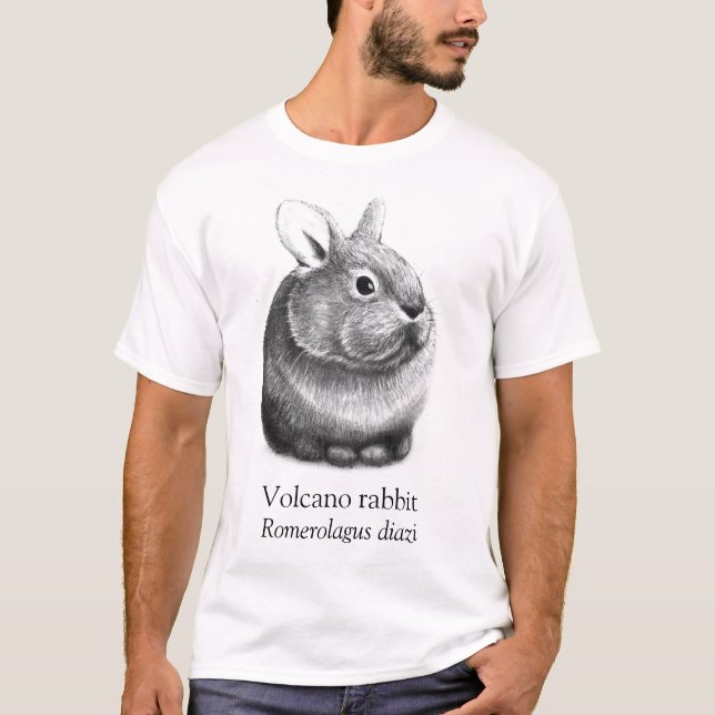 Camiseta Aart Volcano Rabbit White (Anverso)