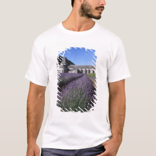 Camiseta Abadía de Senanque, Gordes, Vaucluse, Provenza,