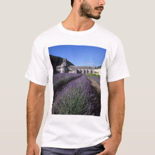 Camiseta Abadía de Senanque, Gordes, Vaucluse, Provenza,