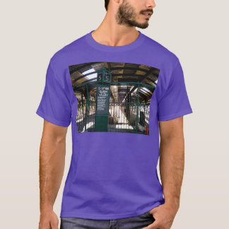 Camiseta Abandonó la Terminal Central de Ferrocarriles de N