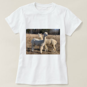 Camiseta - Abby Y Bailey De Alpacas