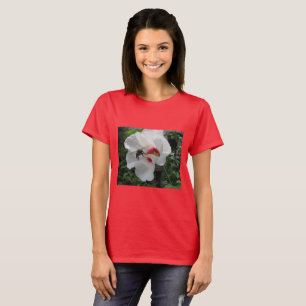 Camiseta Abeja despegada de la Rosa Blanca de Sharon T Shir