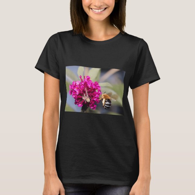 Camiseta Abejorro de banda azul (Anverso)