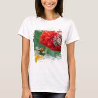 Abejorro y Amapola Roja Naturaleza Moderna