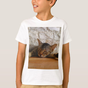 Camiseta Abrazar gato