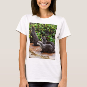Camiseta Absolutamente Delicioso: Tres Pequeñas Nutrias Gri