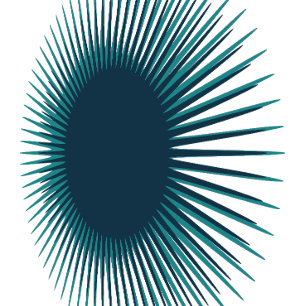 Camiseta abstracta minimalista Erizo Ilusión Op