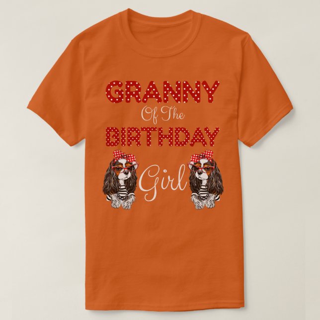 Camiseta Abuela Del Chica De Cumpleaños (Diseño del anverso)