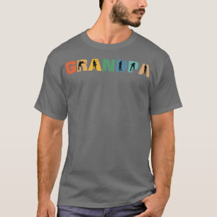 Camiseta Abuelo de piscina divertida retro de vintage 