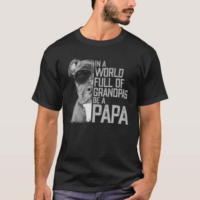 Camiseta Abuelos De Hombres En Un Mundo Lleno Sé Un Papa Pi (Anverso)