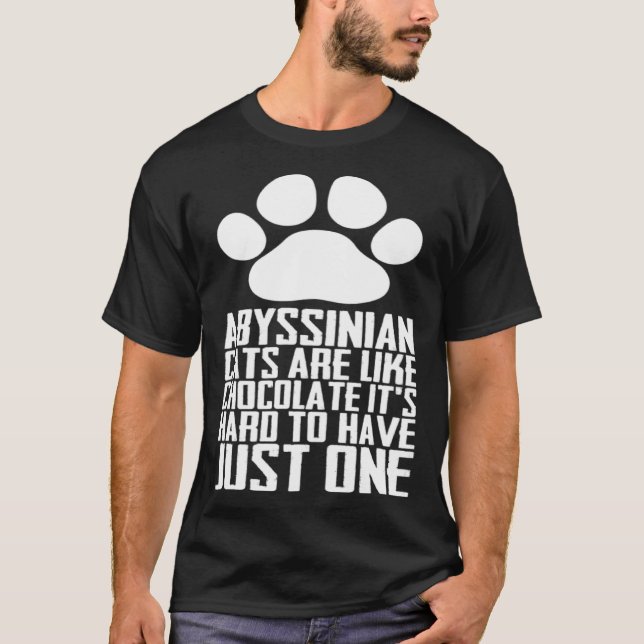 Camiseta Abyssinian cats are like chocolate its hard to hav (Anverso)