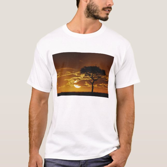 Camiseta Acacia de espinas en forma de paraguas, Acacia tor (Anverso)