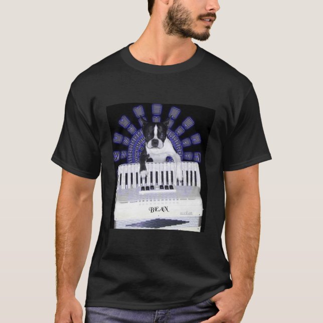 Camiseta Accordian para el alquiler (Anverso)