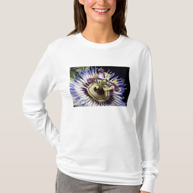 Camiseta Acercamiento de las flores de pasión (MR) (Anverso)