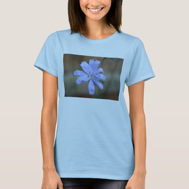 Camiseta achicoria (Cichorium intybus) (Anverso)