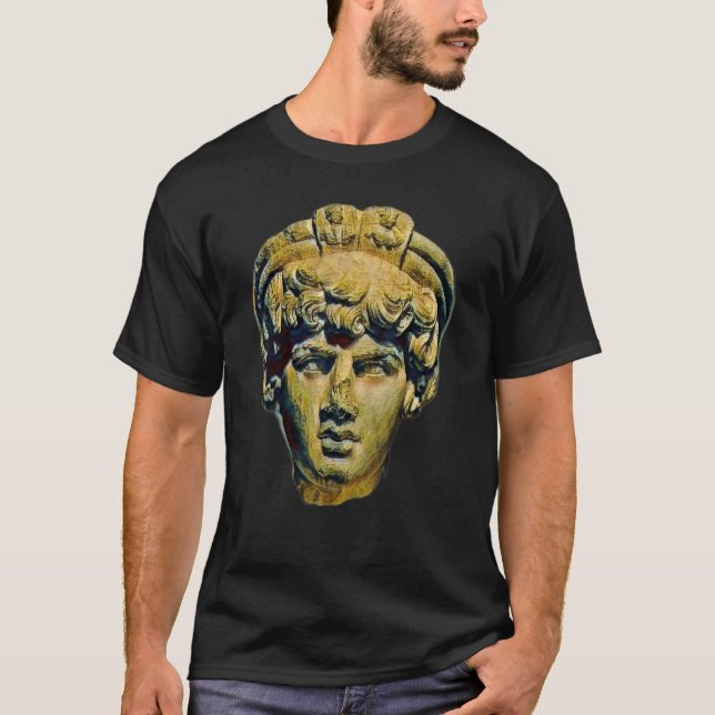 Camiseta Aciente Italia Estatua Romana Resumen Profesor 82 (Anverso)