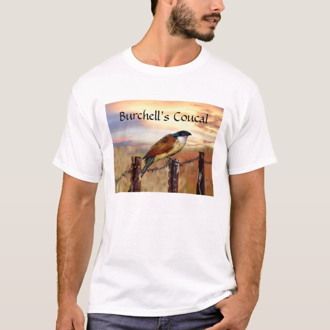 Camiseta Aciopsis burchell (Anverso)