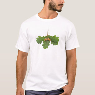 Camiseta Acorns
