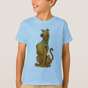 Camiseta Actitud del aerógrafo de Scooby-Doo
