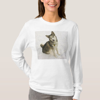 Camiseta Actitud fornida