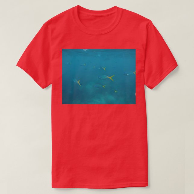 Camiseta Acuario 85 (Diseño del anverso)