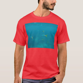 Camiseta Acuario 85