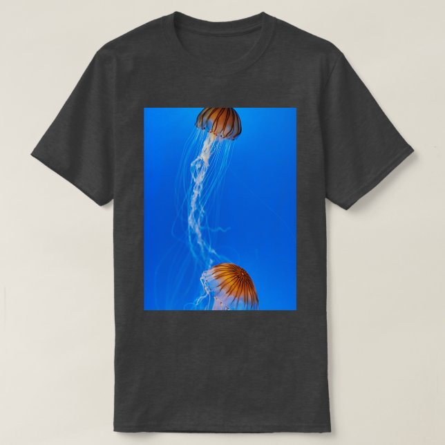 Camiseta Acuario de Osaka Kaiyukan (Diseño del anverso)