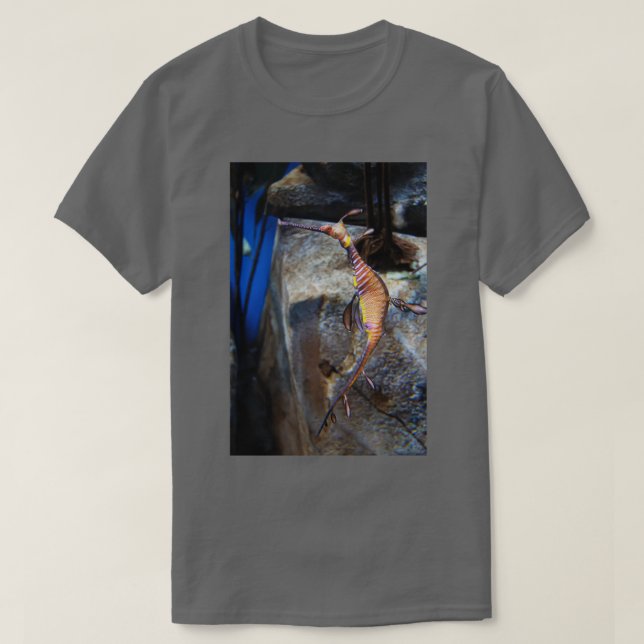 Camiseta Acuario de Sea Dragon Atlanta Georgia (Diseño del anverso)