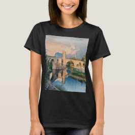 Camiseta Acueducto francés - Pont du Gard