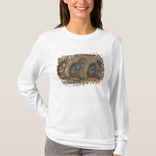 Camiseta Adán que nombra los animales, de Midlands del
