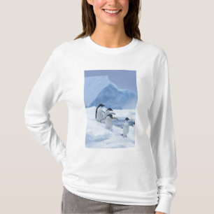Camiseta Adelie Penguins (Pygoscelis adeliae) sobre hielo,