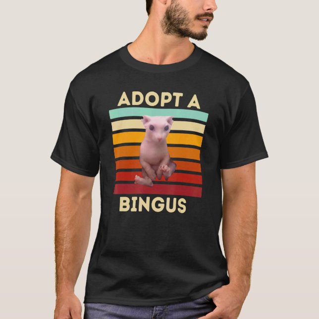 Camiseta Adopt a Bingus  Hairless Sphynx Cat (Anverso)