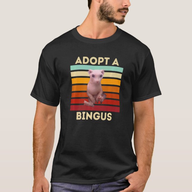 Camiseta Adoptar un gato sin pelo de Bingus (Anverso)