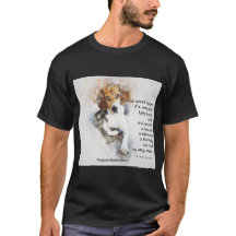 Adoptar Un Mascota De Refugio - Beagle