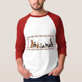 Camiseta adorable del raglán de Purrfectly