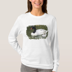 Camiseta Adulto ciego de cuello negro y ciñetes en agua.