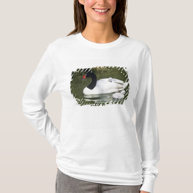 Camiseta Adulto ciego de cuello negro y ciñetes en agua. (Anverso)