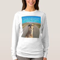 Adventurous Meerkat Living
