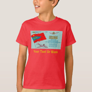 Camiseta Aeroflot Passenger Ticket