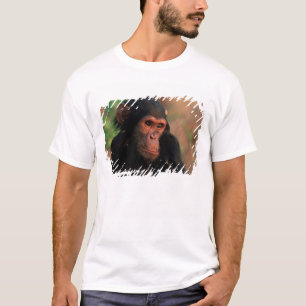 Camiseta África, África Oriental, Tanzania