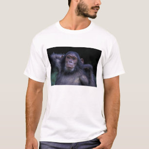 Camiseta África, África Oriental, Tanzania, Parque Nacional