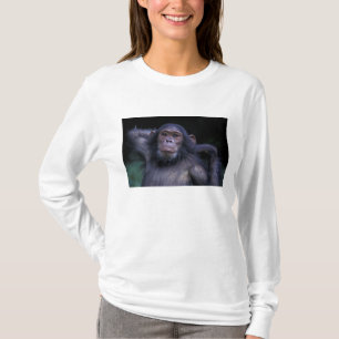 Camiseta África, África Oriental, Tanzania, Parque Nacional