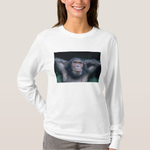 Camiseta África, África Oriental, Tanzania, Parque Nacional