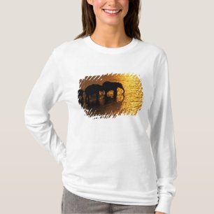Camiseta África, Botsuana, Delta del Okavango. Africano