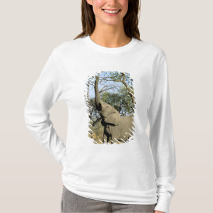 Camiseta África, Botsuana, Delta del Okavango. Africano 2