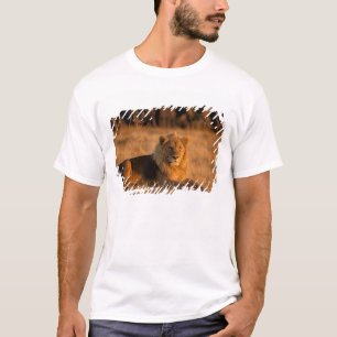 Camiseta África, Botsuana, Delta del Okavango. León (Panthe