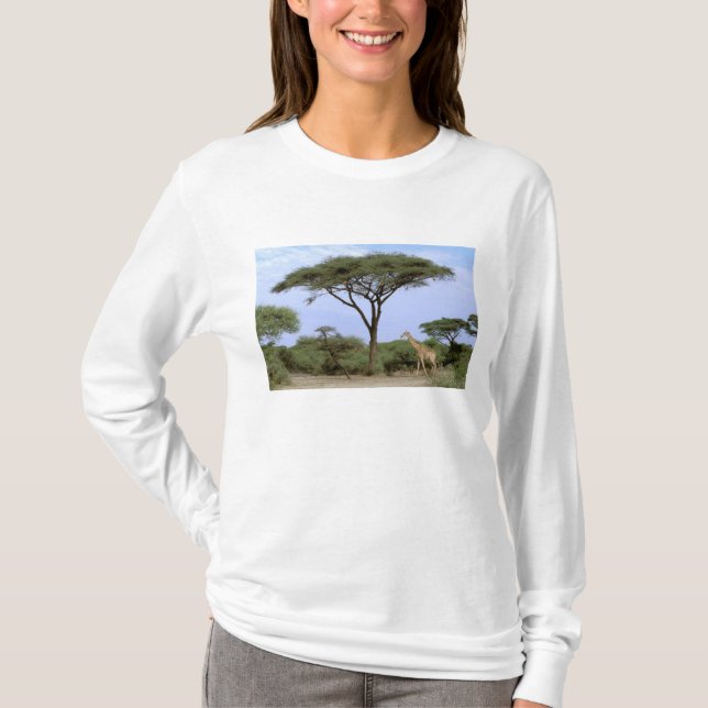 Camiseta África, Botsuana, Delta del Okavango. Meridional (Anverso)